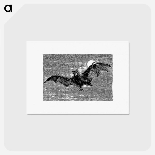 アートポストカード-Flying Bat from Woodland Romances; Or, Fables And Fancies
 - 大英図書館 Postcard.