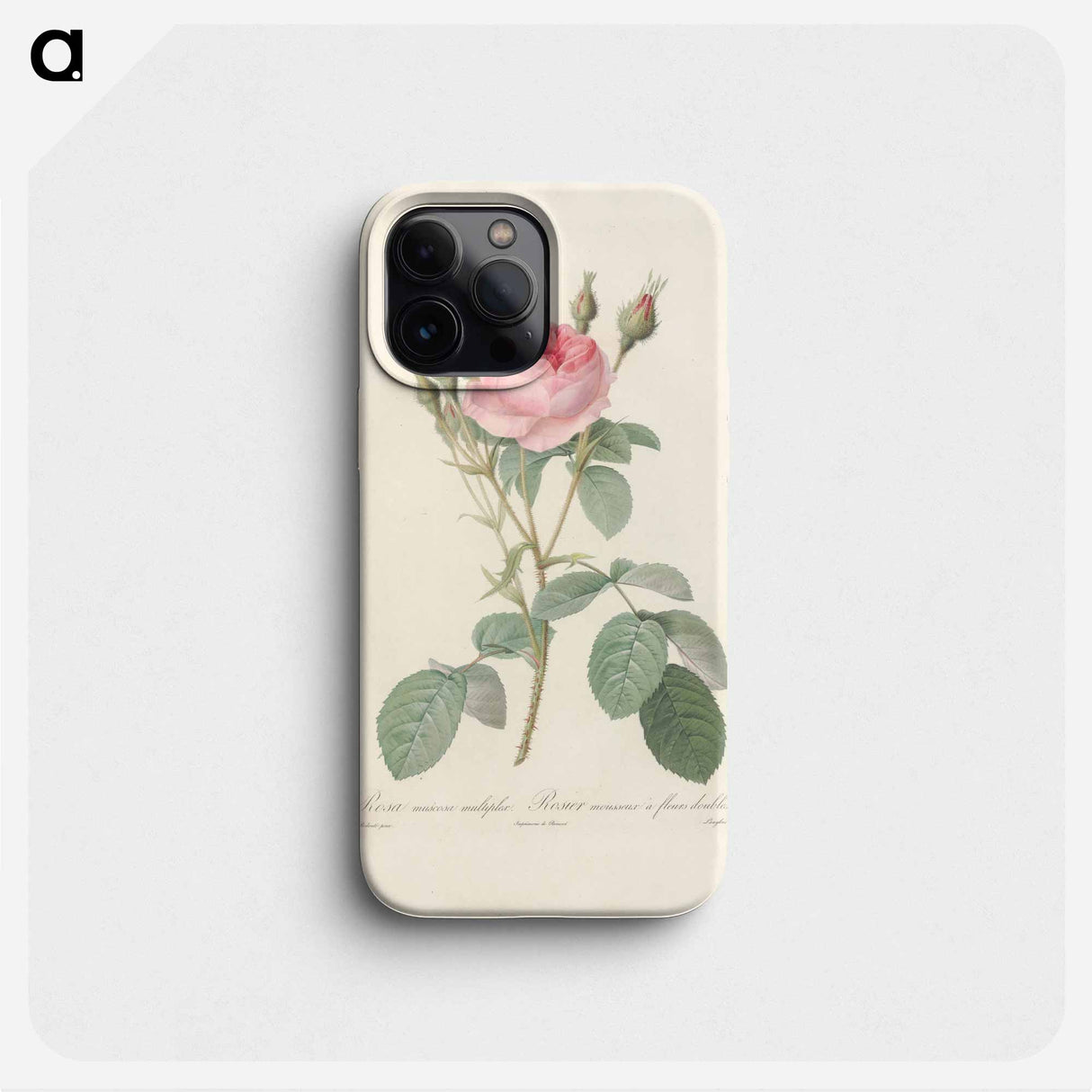 Rose illustration - ピエール ジョゼフ ルドゥーテ Phone Case.