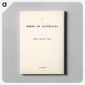 アートパネル-Birds of Australia
 - オーストラリアの鳥 Canvas.