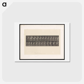アートポストカード-Man on Horse
 - エドワード マイブリッジ Postcard.