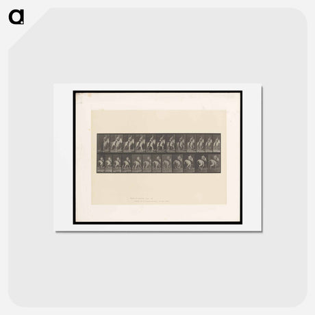 アートポストカード-Man on Horse
 - エドワード マイブリッジ Postcard.