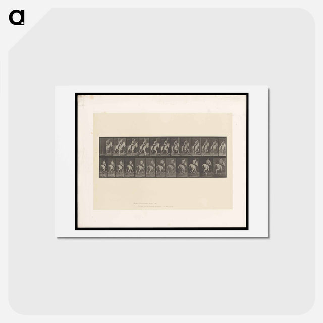 アートポストカード-Man on Horse
 - エドワード マイブリッジ Postcard.