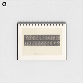 アートメモ帳-Man on Horse
 - エドワード マイブリッジ Memo.