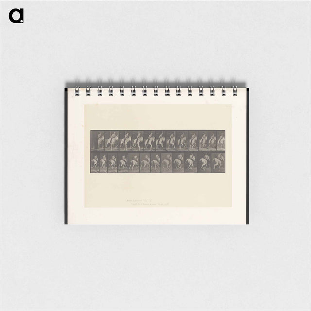アートメモ帳-Man on Horse
 - エドワード マイブリッジ Memo.