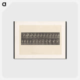 アートポストカード-Man on Horse
 - エドワード マイブリッジ Postcard.