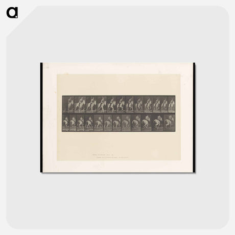 アートポストカード-Man on Horse
 - エドワード マイブリッジ Postcard.