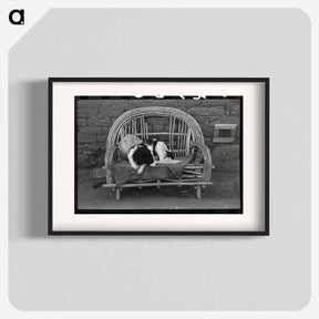 アートポスター-Dog on Settee, Concho, Arizona
 - ラッセル リー Poster.