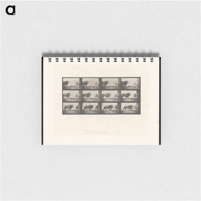 アートメモ帳-Walking Lion
 - エドワード マイブリッジ Memo.