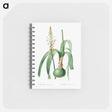 アートメモ帳-Ornithogalum Longibracteatum
 - クリーブランド美術館 Memo.