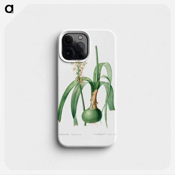 Ornithogalum Longibracteatum
 - クリーブランド美術館 Phone Case.