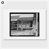 House in which cotton farmer has lived for fifty years - Dorothea Lange Poster.