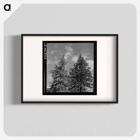アートポスター-Trees and Clouds
 - ラッセル リー Poster.