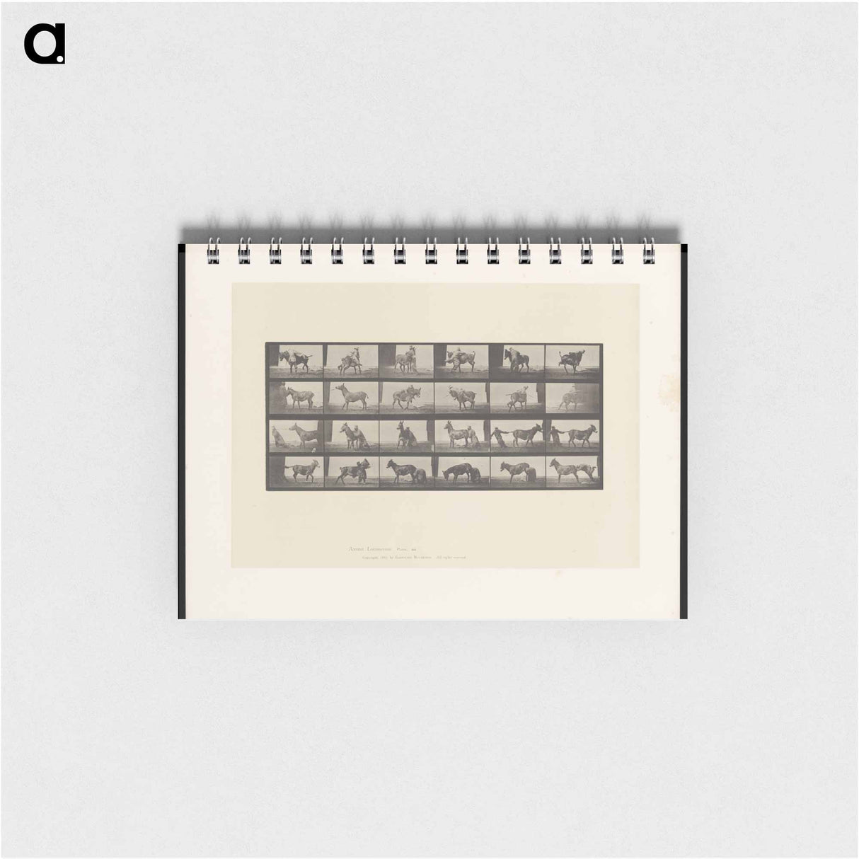 アートメモ帳-Mule's Stubbornness
 - エドワード マイブリッジ Memo.