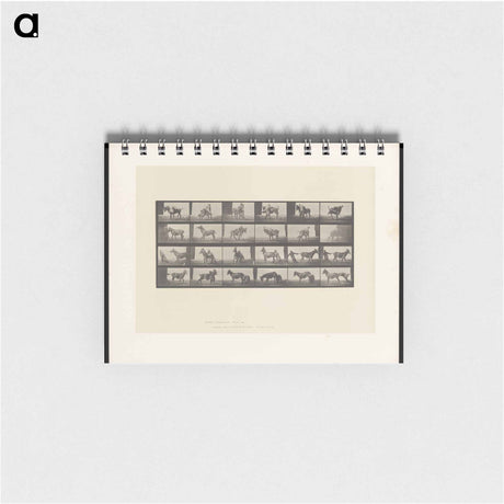 アートメモ帳-Mule's Stubbornness
 - エドワード マイブリッジ Memo.