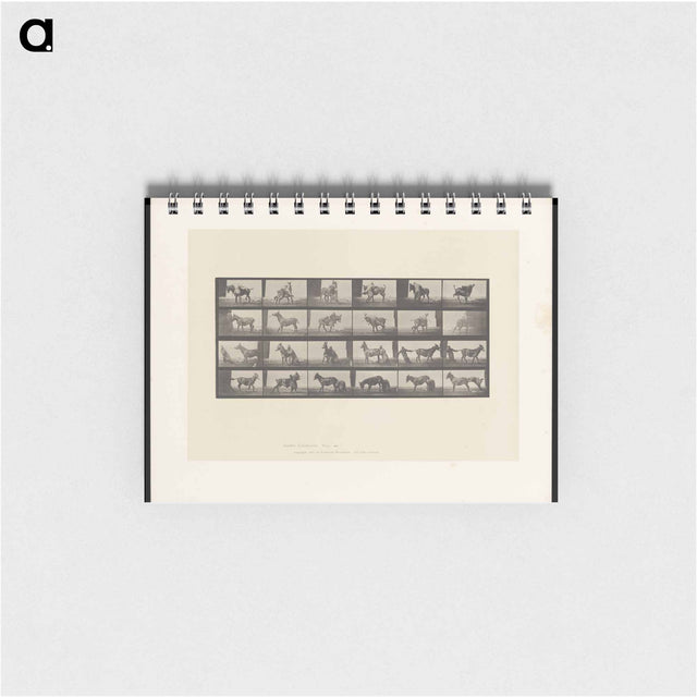 アートメモ帳-Mule's Stubbornness
 - エドワード マイブリッジ Memo.
