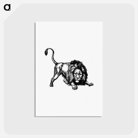 アートポストカード-Lion from Brussels Through The Ages, Third Volume
 - 大英図書館 Postcard.