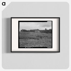 アートポスター-Typical owner-operated small farm of Greene County, Georgia - ドロテア ラング Poster.