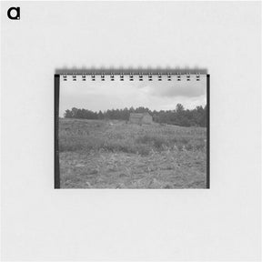アートメモ帳-Typical owner-operated small farm of Greene County, Georgia - ドロテア ラング Memo.