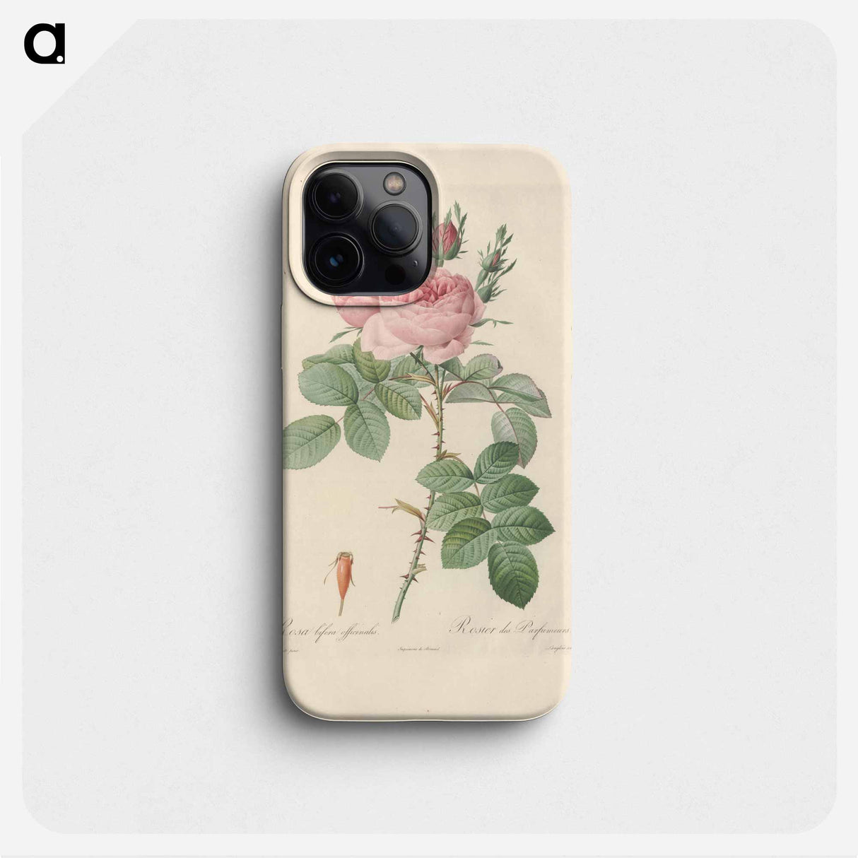 Rose illustration - ピエール ジョゼフ ルドゥーテ Phone Case.