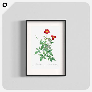 Rosa Indica
 - クリーブランド美術館 Poster.