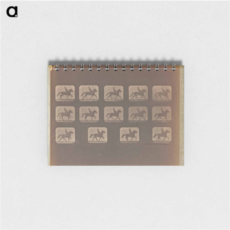 アートメモ帳-Trotting - Irregular
 - エドワード マイブリッジ Memo.