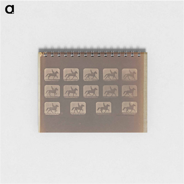 アートメモ帳-Trotting - Irregular
 - エドワード マイブリッジ Memo.