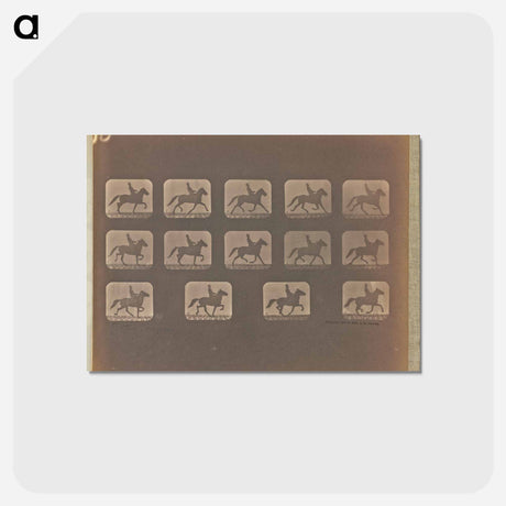 アートポストカード-Trotting - Irregular
 - エドワード マイブリッジ Postcard.