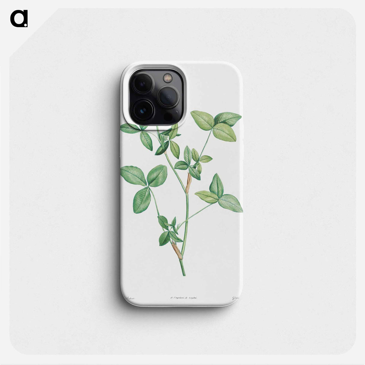 Clover flower - Pierre Joseph Redouté Phone Case.