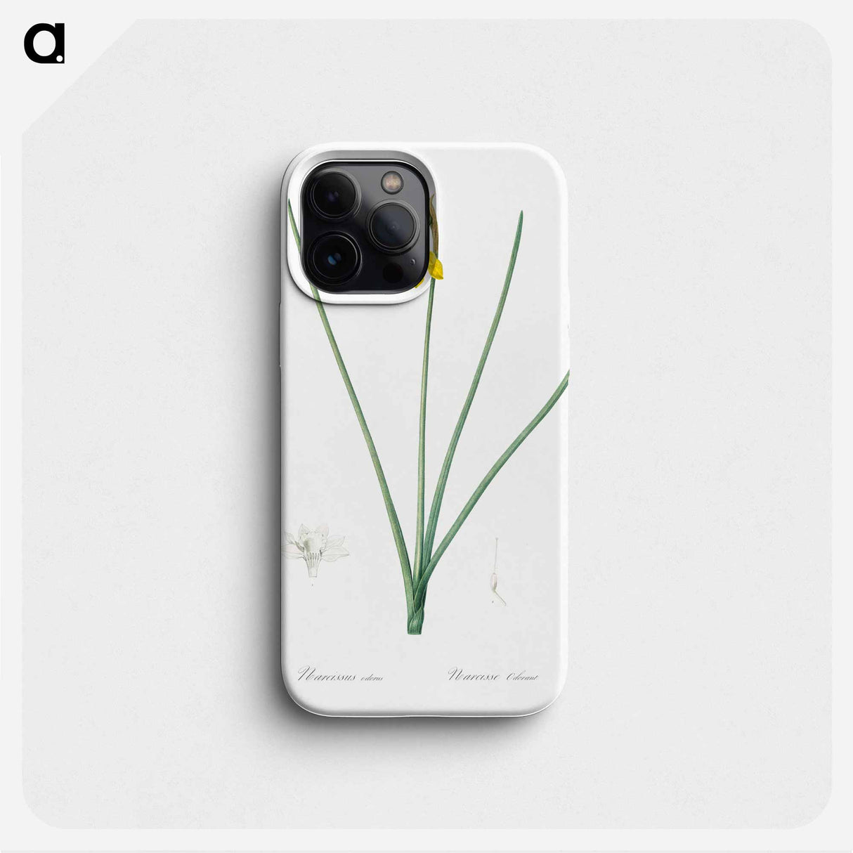 Narcissus odorus illustration - ピエール ジョゼフ ルドゥーテ Phone Case.