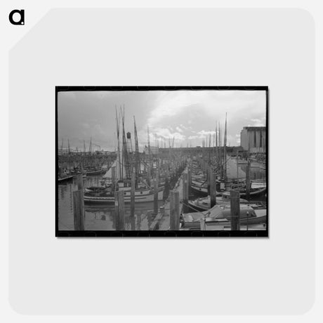 アートポストカード-Fishing Boats, Astoria, Oregon
 - ラッセル リー Postcard.