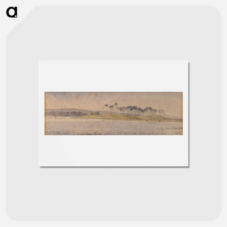 アートポストカード-Dhoura Island
 - イェール大学アートギャラリー Postcard.