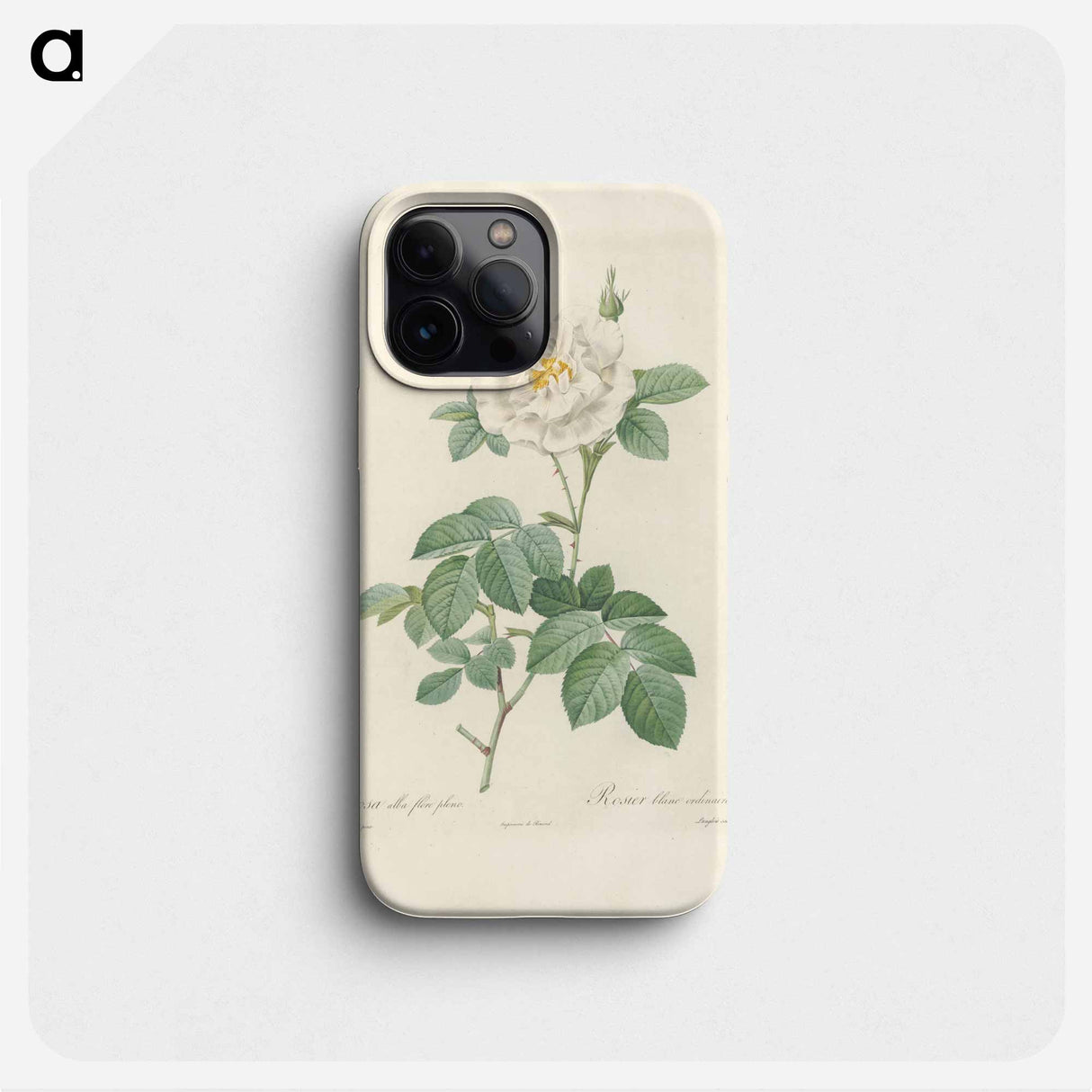 Rose illustration - Pierre Joseph Redouté Phone Case.