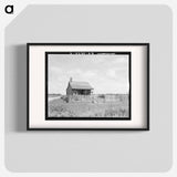 Plantation cotton cabin - Dorothea Lange Poster.