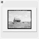 Plantation cotton cabin - Dorothea Lange Poster.