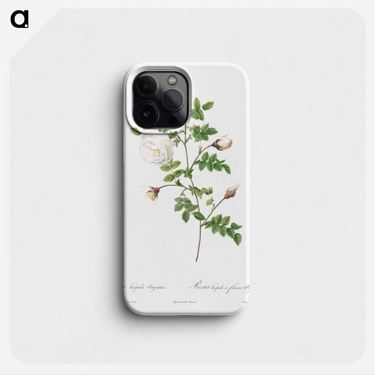 Silver-Flowered Hispid Rose - ピエール ジョゼフ ルドゥーテ Phone Case.