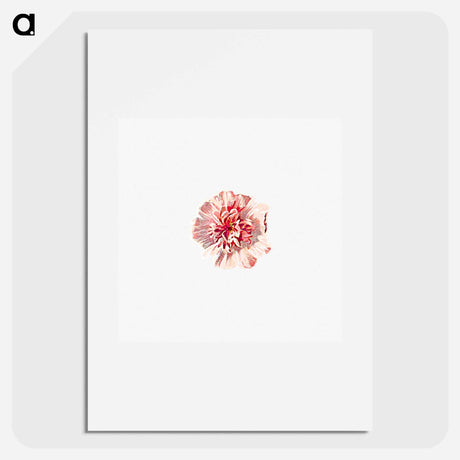アートポスター-Hollyhock from Poets In The Garden
 - 大英図書館 Poster.