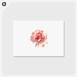 アートポストカード-Hollyhock from Poets In The Garden
 - 大英図書館 Postcard.
