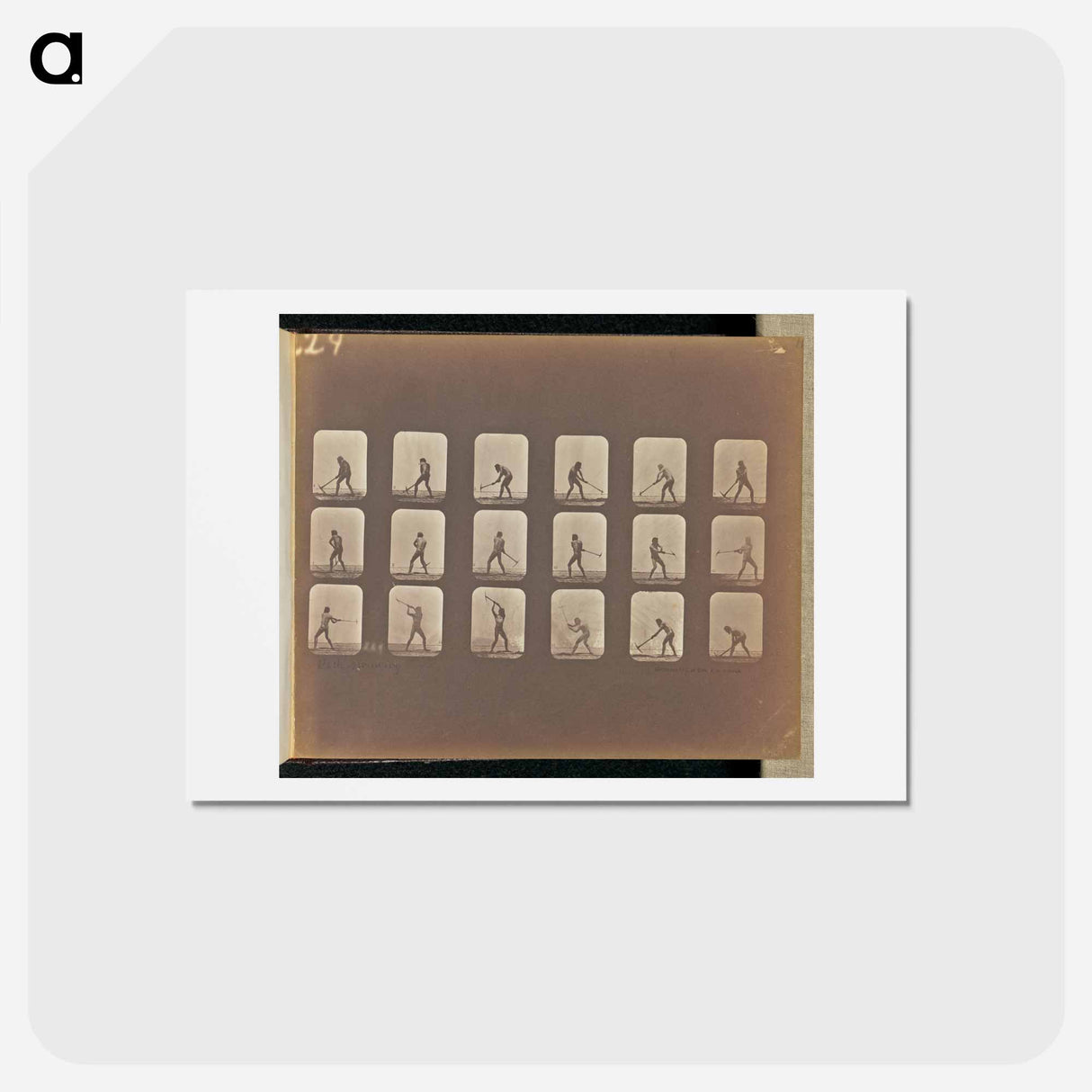 アートポストカード-Pick Swinging
 - エドワード マイブリッジ Postcard.