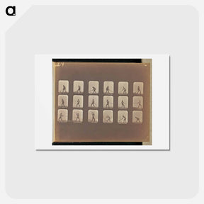 アートポストカード-Pick Swinging
 - エドワード マイブリッジ Postcard.