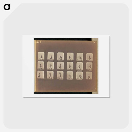 アートポストカード-Pick Swinging
 - エドワード マイブリッジ Postcard.