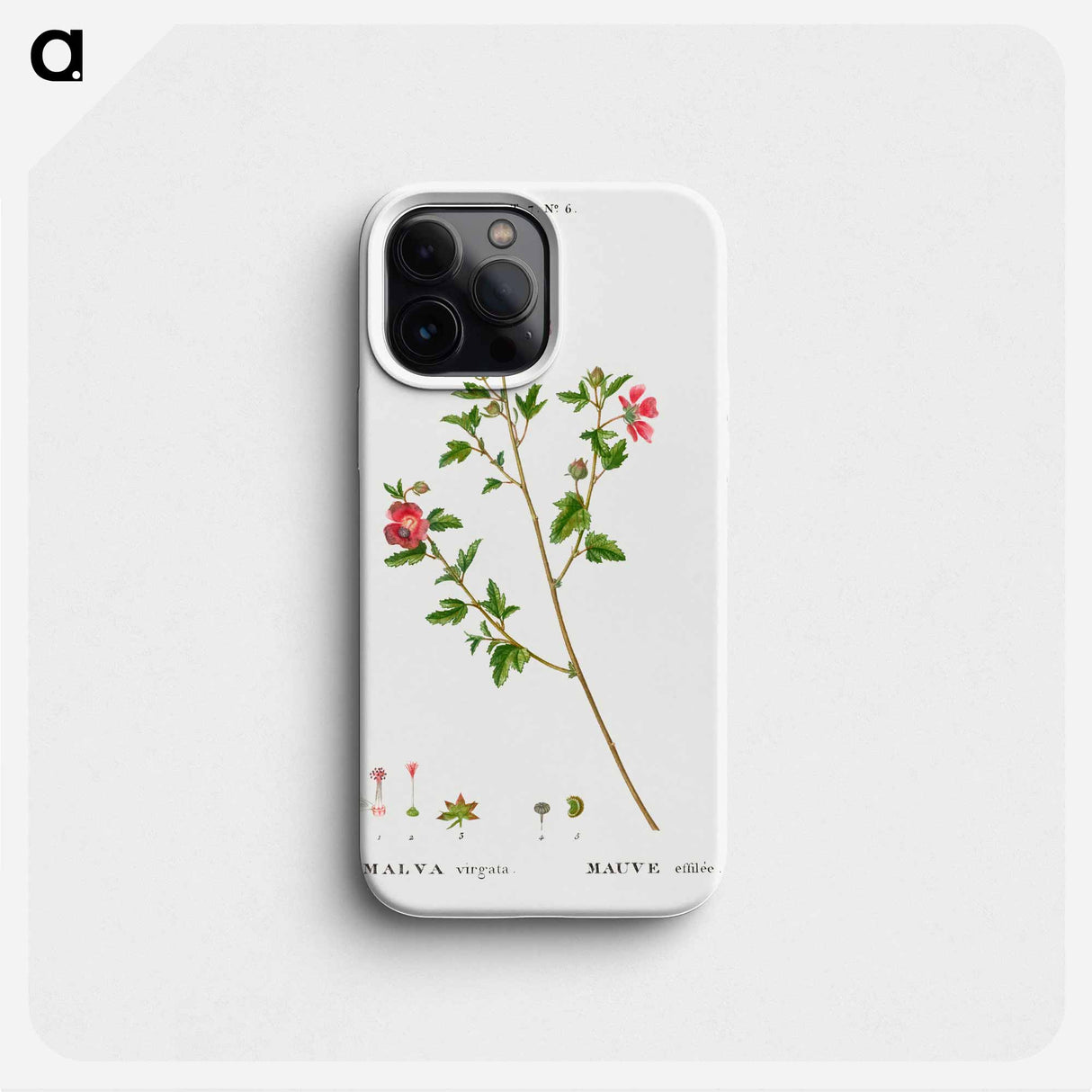 Cape African-queen, Malva virgata - ピエール ジョゼフ ルドゥーテ Phone Case.