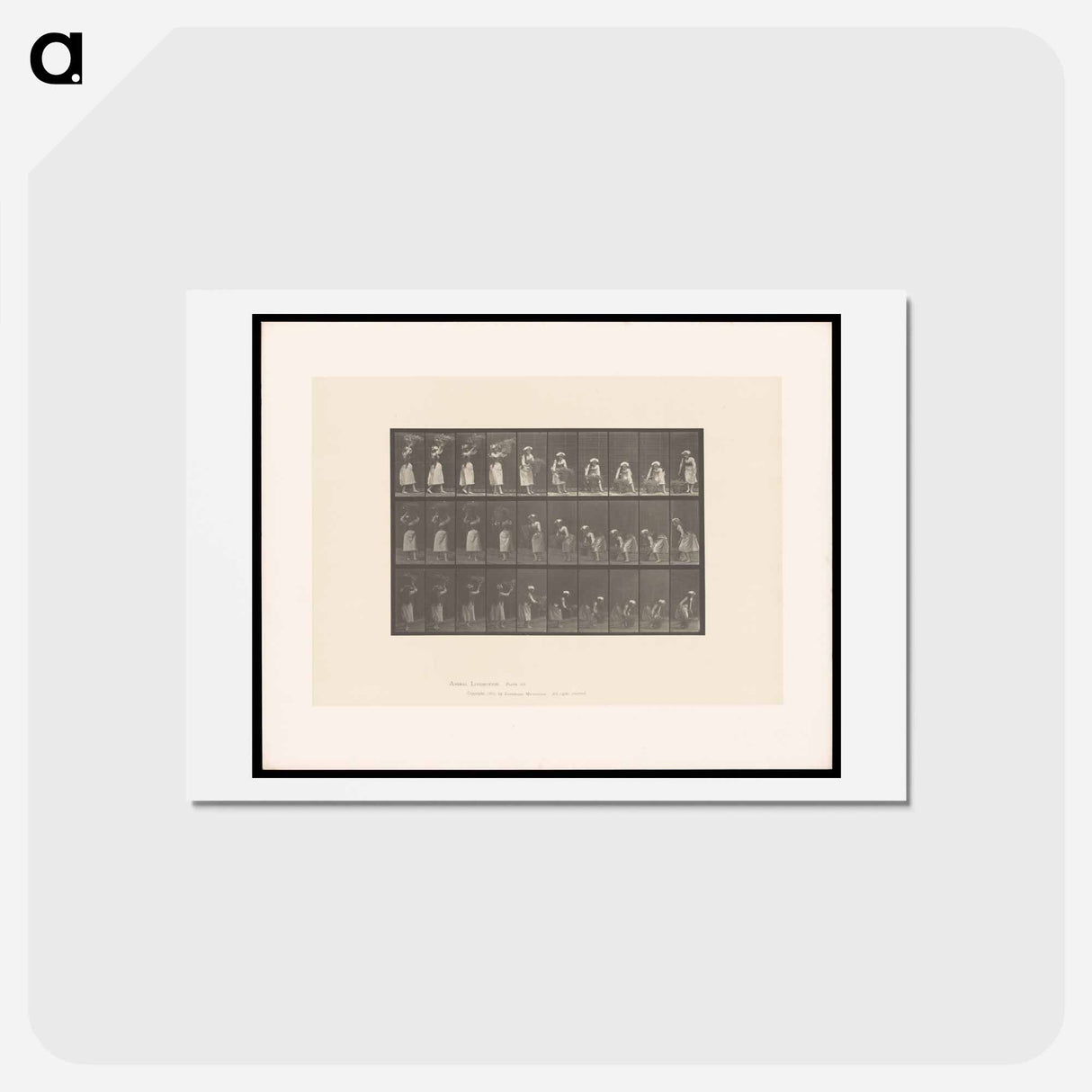 アートポストカード-Woman with Basket
 - エドワード マイブリッジ Postcard.