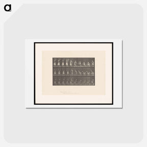 アートポストカード-Woman with Basket
 - エドワード マイブリッジ Postcard.