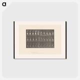 アートポストカード-Woman with Basket
 - エドワード マイブリッジ Postcard.