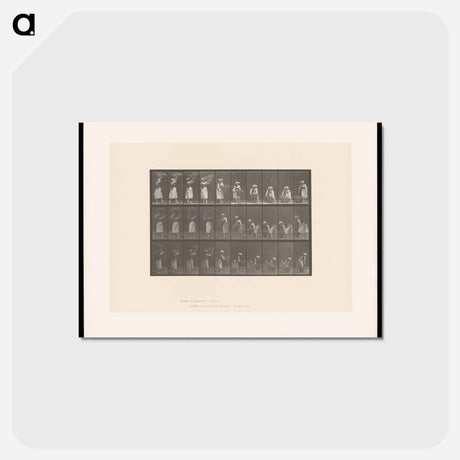 アートポストカード-Woman with Basket
 - エドワード マイブリッジ Postcard.