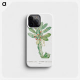 Euphorbia Neriifolia - ピエール ジョゼフ ルドゥーテ Phone Case.