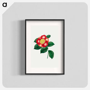 アートポスター-Chinese Flower
 - クリーブランド美術館 Poster.