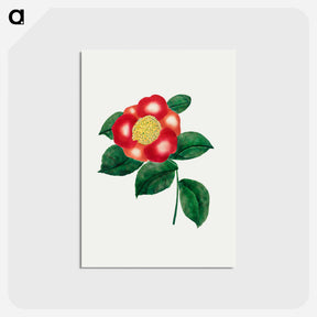 アートポストカード-Chinese Flower
 - クリーブランド美術館 Postcard.