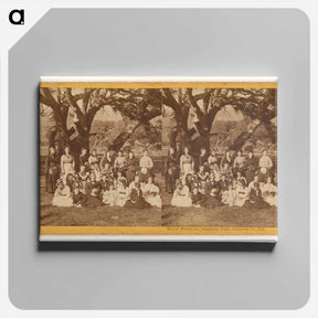 アートパネル-Mills' Seminary, Seminary Park
 - エドワード マイブリッジ Canvas.