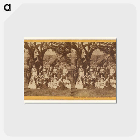 アートポストカード-Mills' Seminary, Seminary Park
 - エドワード マイブリッジ Postcard.